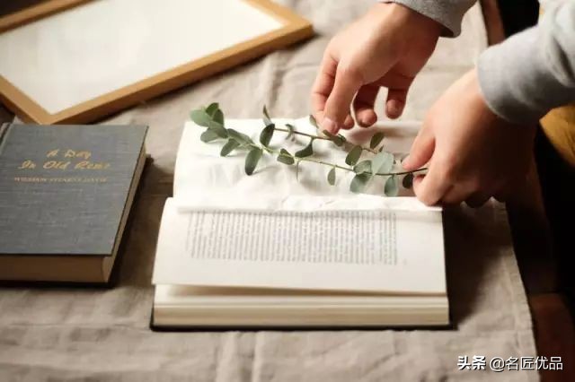 手工课堂：手把手教你做干花标本，比花钱买来的画好看十倍