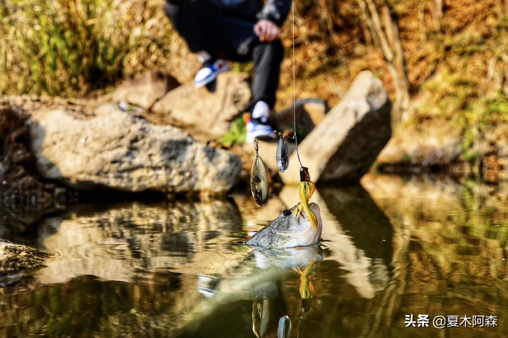 路亚假饵什么颜色比较通杀,路亚渔网假饵