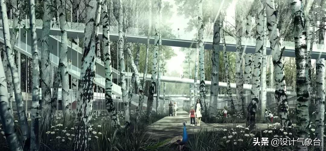 4000美金图片,五万美元效果图