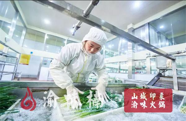 加盟九宫格,乌鲁木齐九宫格火锅加盟哪家合适