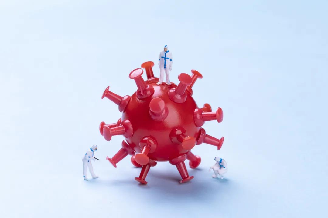 哈尔滨防疫政策最新今天,哈尔滨防疫最新政策