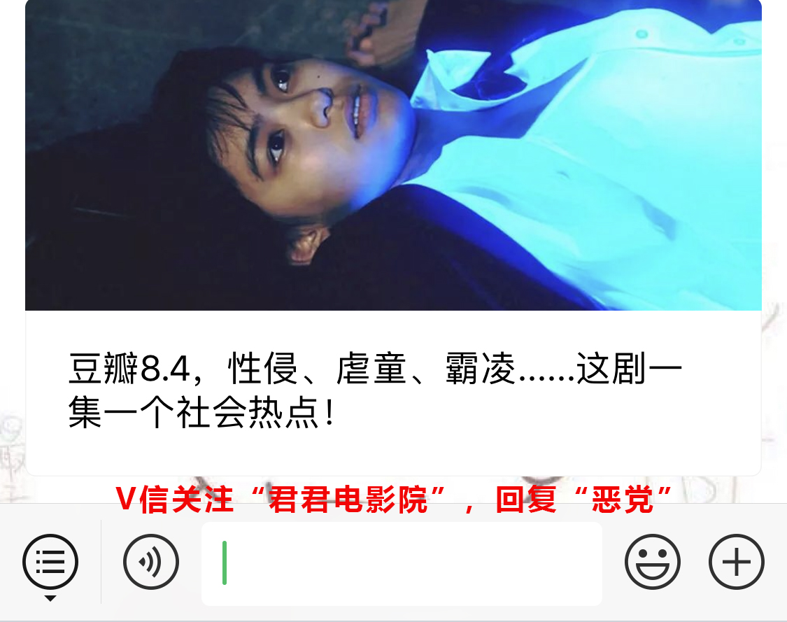 霸凌赌博家暴虐童出轨盗窃剧豆瓣,霸凌虐童豆瓣