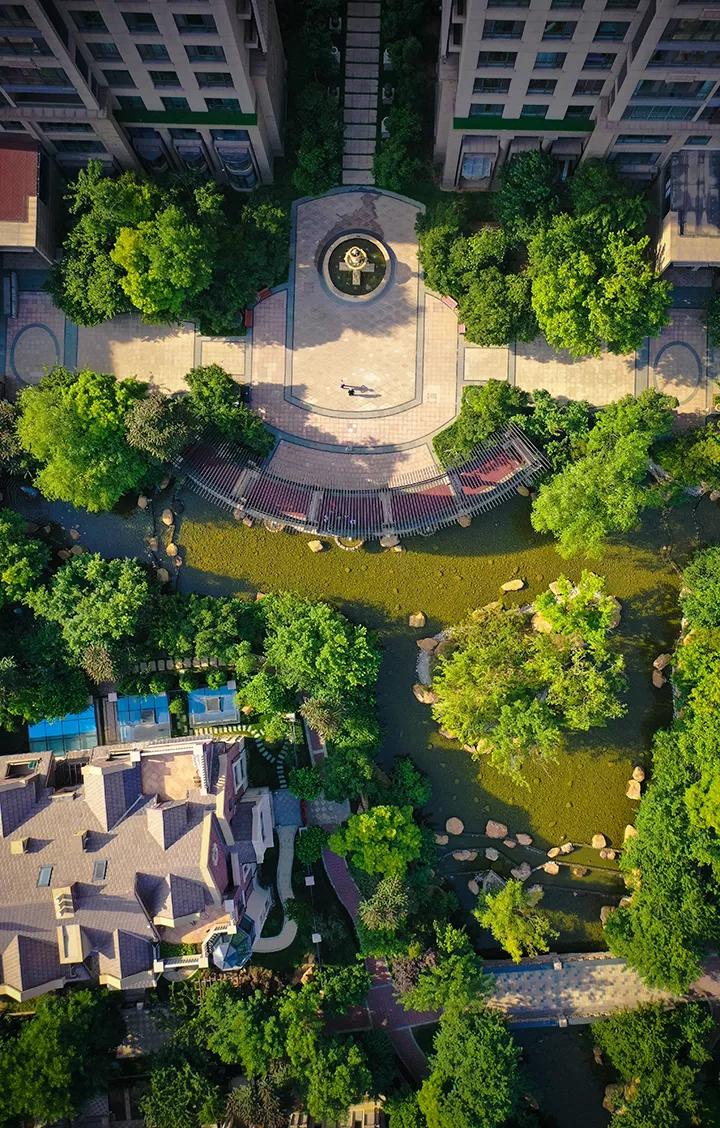 唐城壹零壹,唐城壹零壹精装