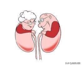 尿路感染健康宣教案例,尿路感染养生知识大全