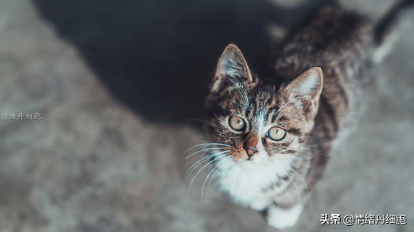 银狐洞风景区旅游路线攻略,游银狐洞