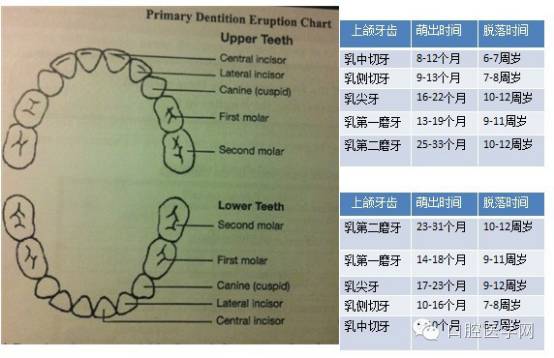乳牙蛀了有没有必要补,乳牙龋坏有必要补吗