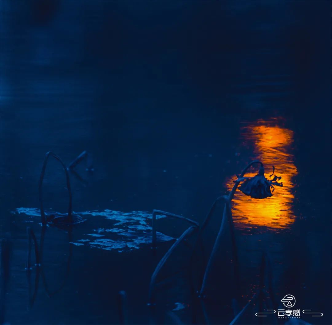 李鸿飞摄影作品初春,李鸿飞画家