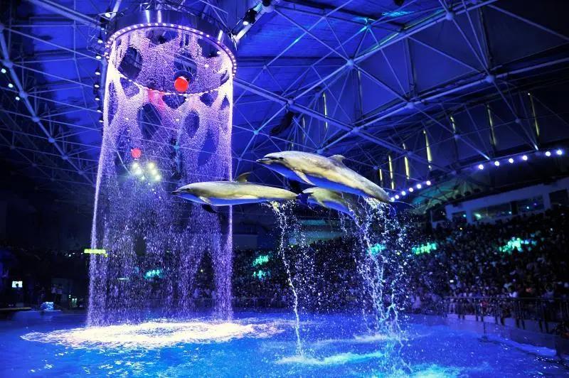 大连四星级景区现状,大连景区什么时候恢复开放