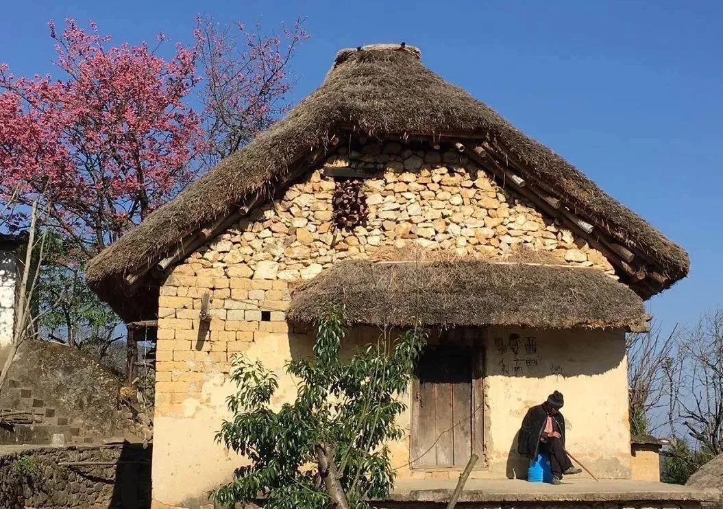 中国最美苏式私人院子,中国式老院子