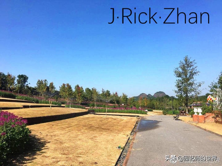 果岭草坪的种植养护方法及技巧,怎么种植一个可以躺的草坪