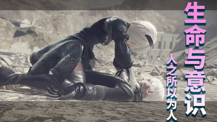 尼尔机械纪元为什么评分这么高,尼尔机械纪元和人工生命的关系