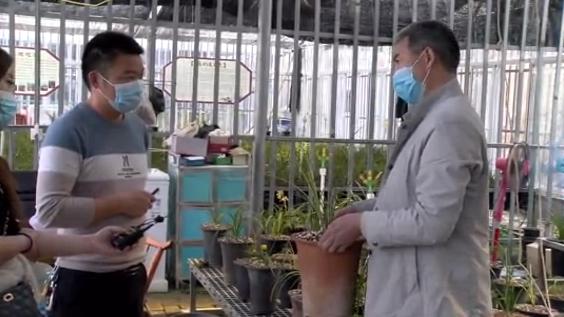 桐柏什么地方种兰花,桐柏种兰花