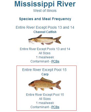 比利时大闸蟹泛滥视频,比利时大闸蟹出口到中国