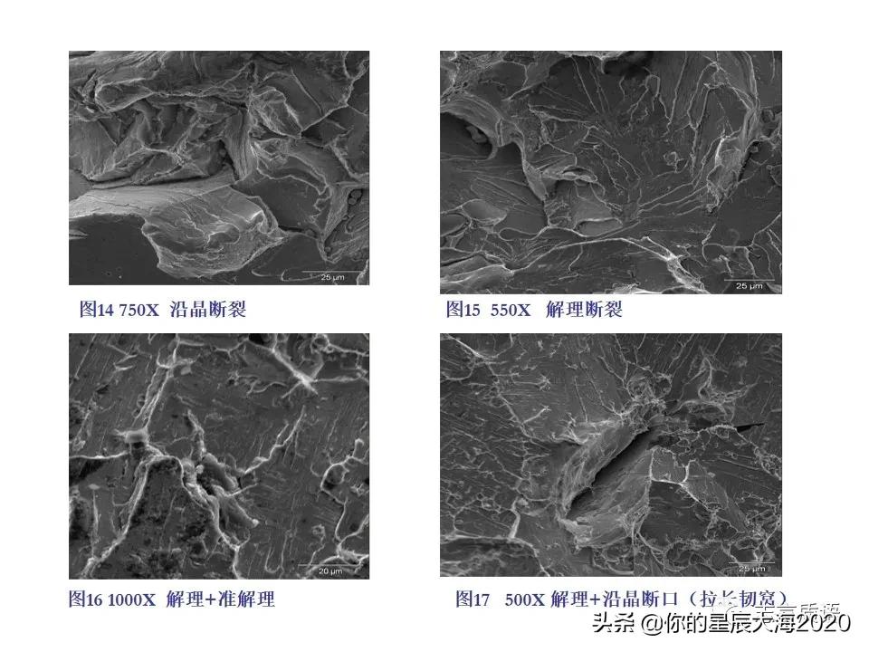 非常详细的扫描电镜（SEM）图像分析，建议收藏