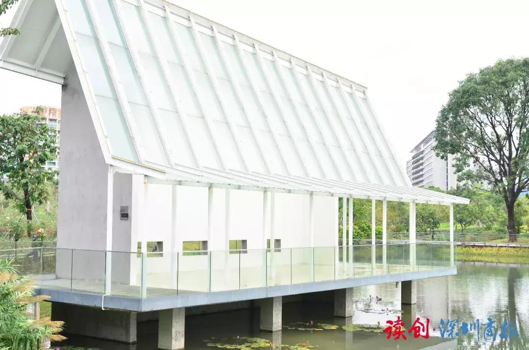 深圳最美婚姻登记处的香蜜湖,深圳最美婚姻福田登记处