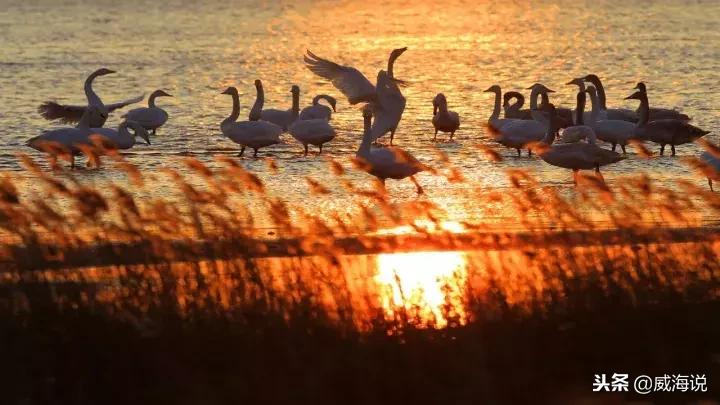 威海全家出游攻略,威海冬天旅游攻略必去景点