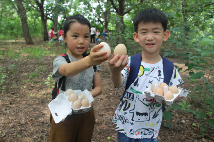 喂萌宠，捡鸡蛋，大自然里快乐多，精诚文化学校暑期班走进大自然