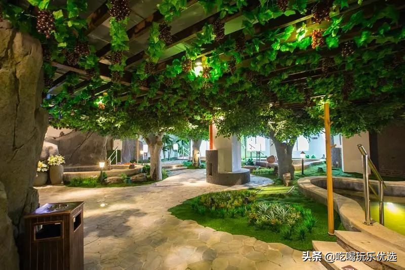 天津仁爱团泊湖温泉夏天,天津热带雨林主题温泉