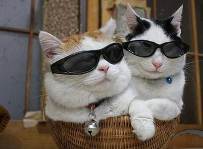 模式同质化会怎样,模式内和模式外的股票区别