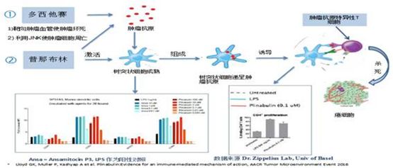 肺癌化疗方案培美曲塞副作用,小细胞肺癌化疗怎么降低副作用