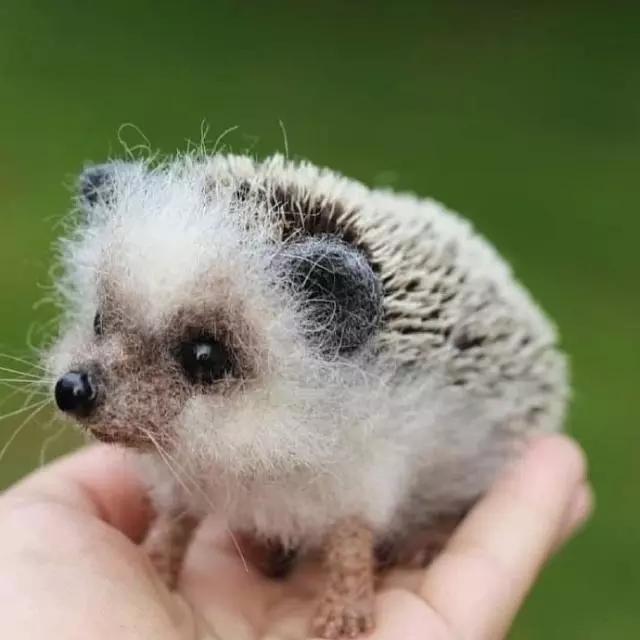 适合发说说的句子搞笑简短一点,很皮又很逗比的说说短句