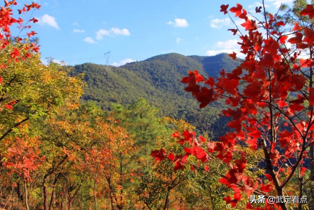 青龙峡夏日旅游,五一各大景点青龙峡