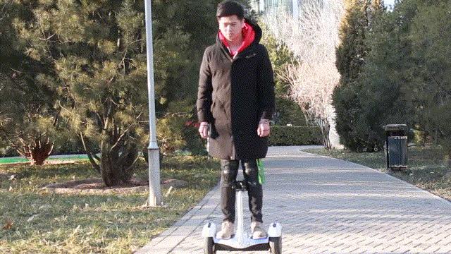 十大不建议购买的平衡车多少钱,三款好的平衡车推荐