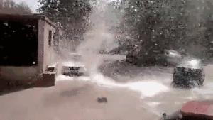 被柳絮困扰,被柳絮搞到崩溃是什么体验