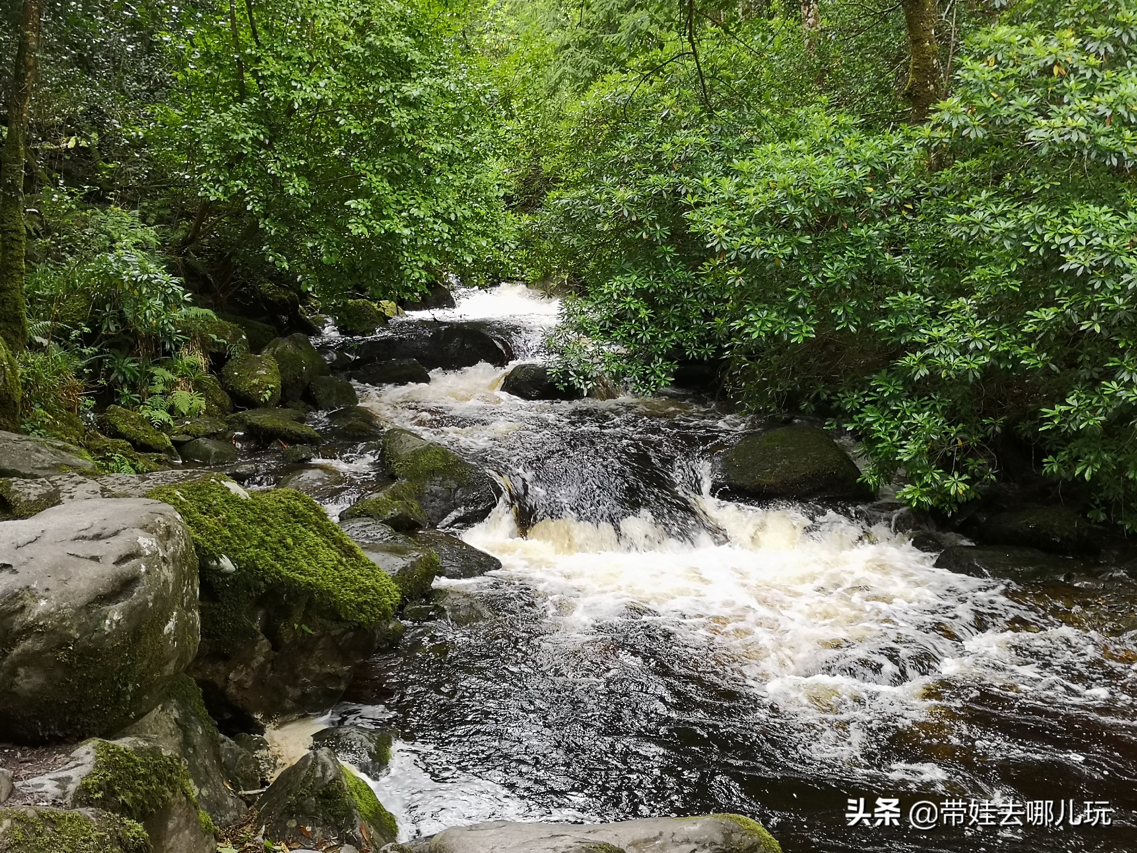 爱尔兰翡翠岛旅游景点,翡翠岛