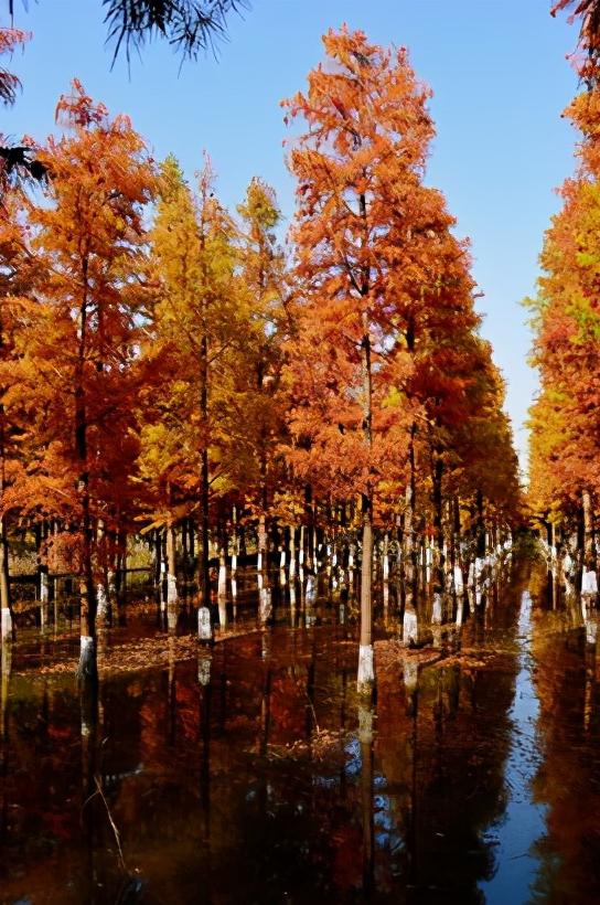 浅谈全国34个省级区域之华东篇：江苏省—宿迁市