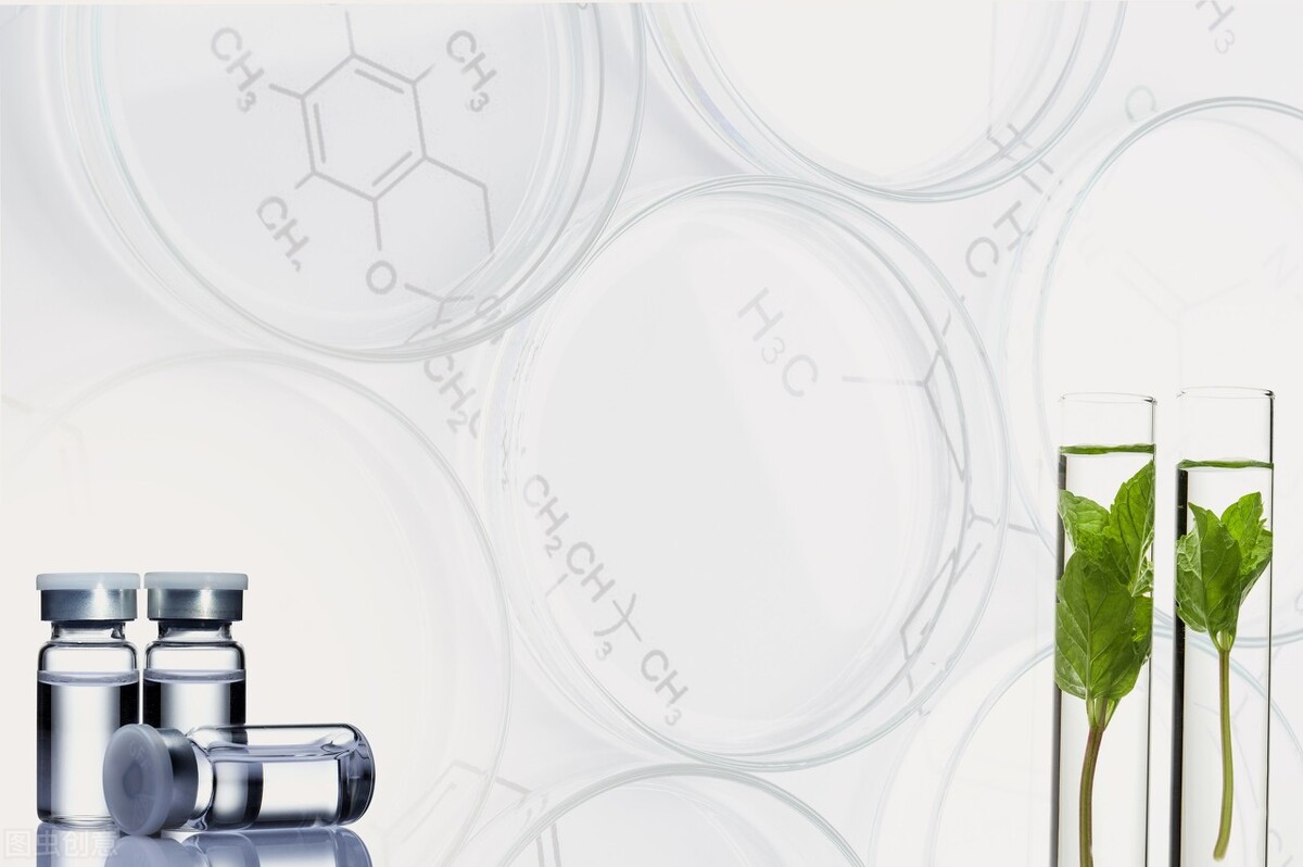 植物的能量和疗愈,植物的灵性和疗愈的力量