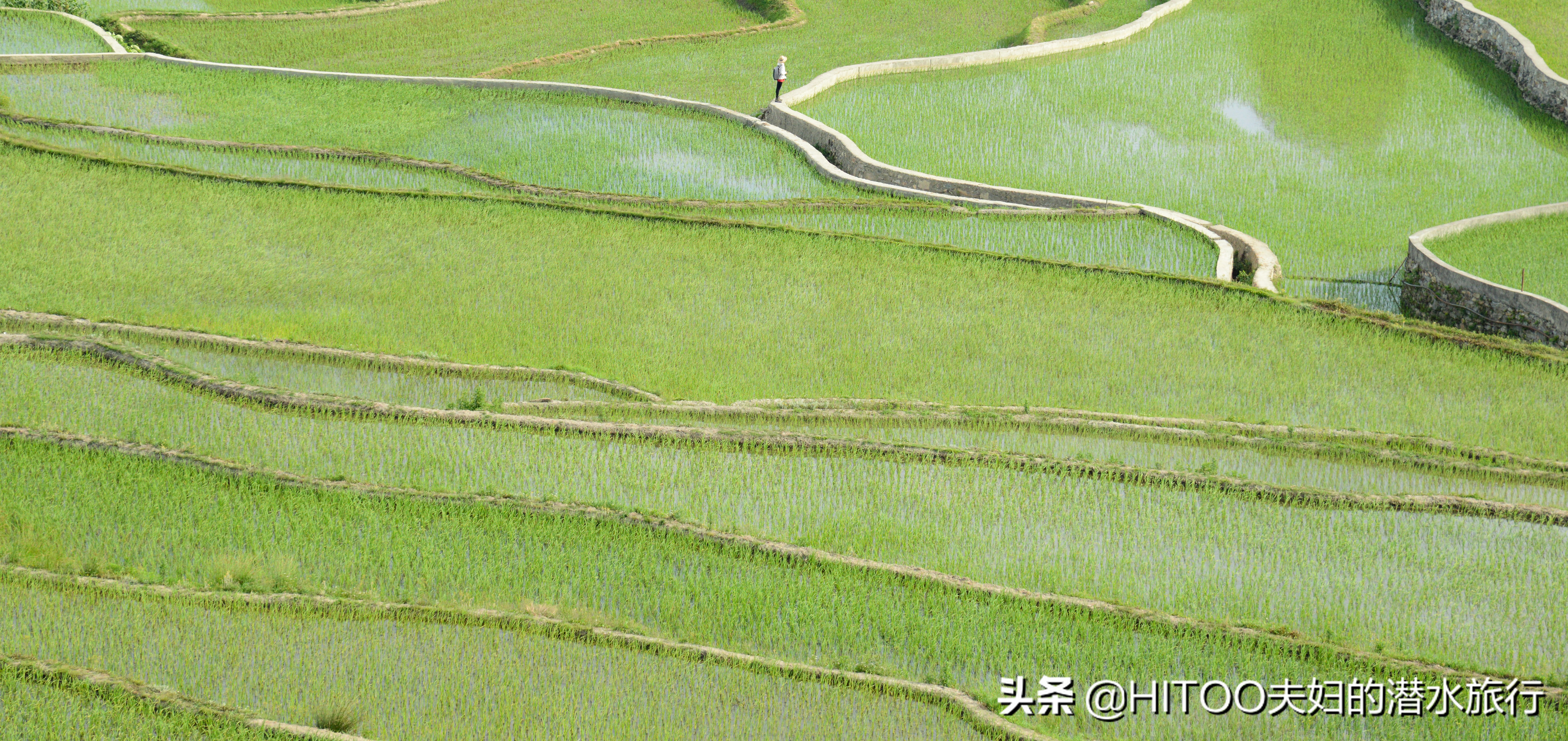 不花钱看元阳梯田自驾攻略,元阳梯田自驾游攻略
