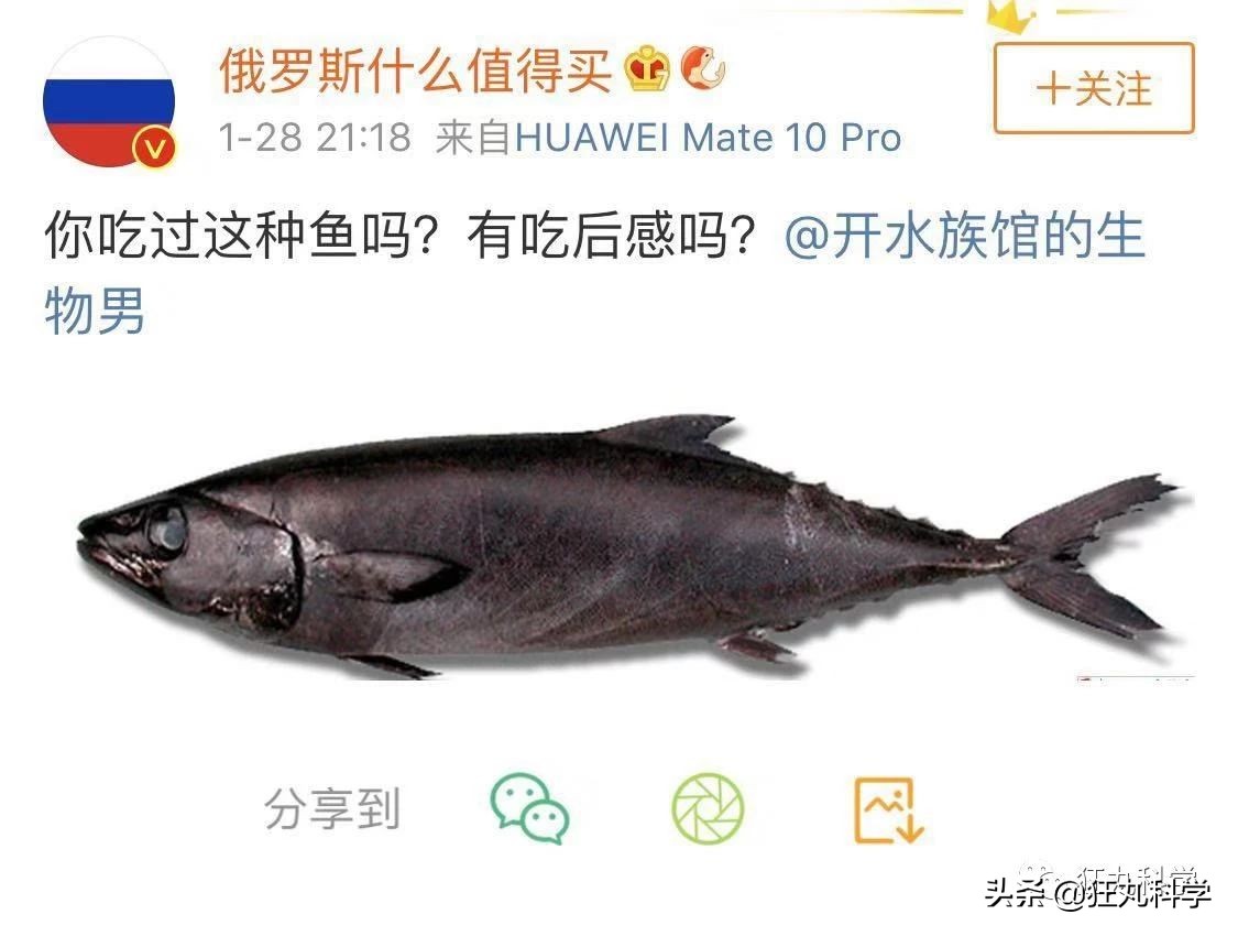 吃完屁股就流油的鱼,吃完屁股里冒油的鱼