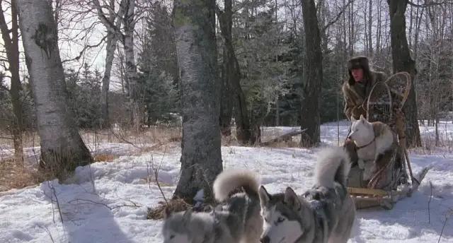 奋斗励志的电影,电影奋斗