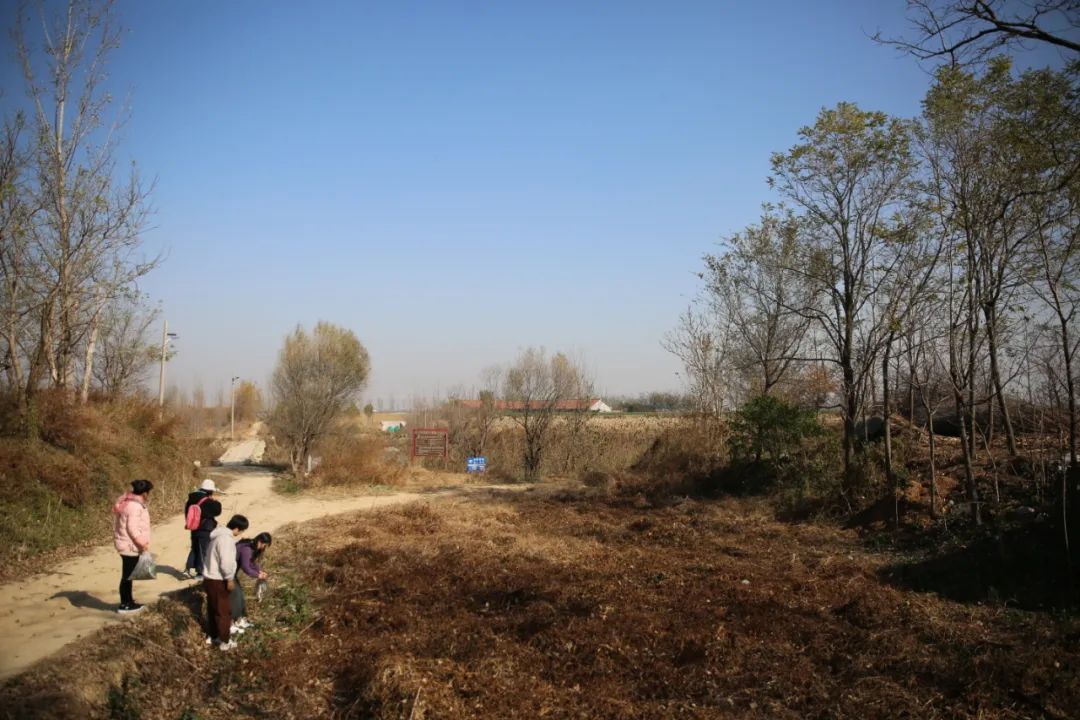 高密作协田野考察（三）乐者电子商务，迎乐科技发布