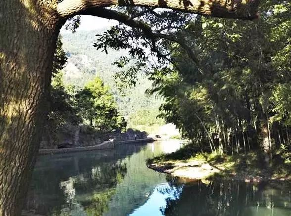 金华附近的旅游民宿推荐,金华古村古镇民宿