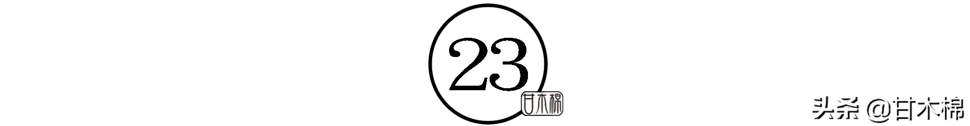 童年野果子,儿时的野果子总让人回味无穷