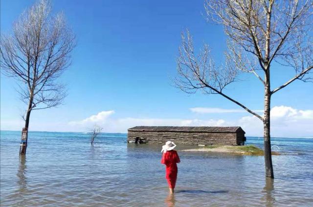 青甘大环线高反,旅游青甘大环线