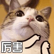 70年！重新认识你，金湾！