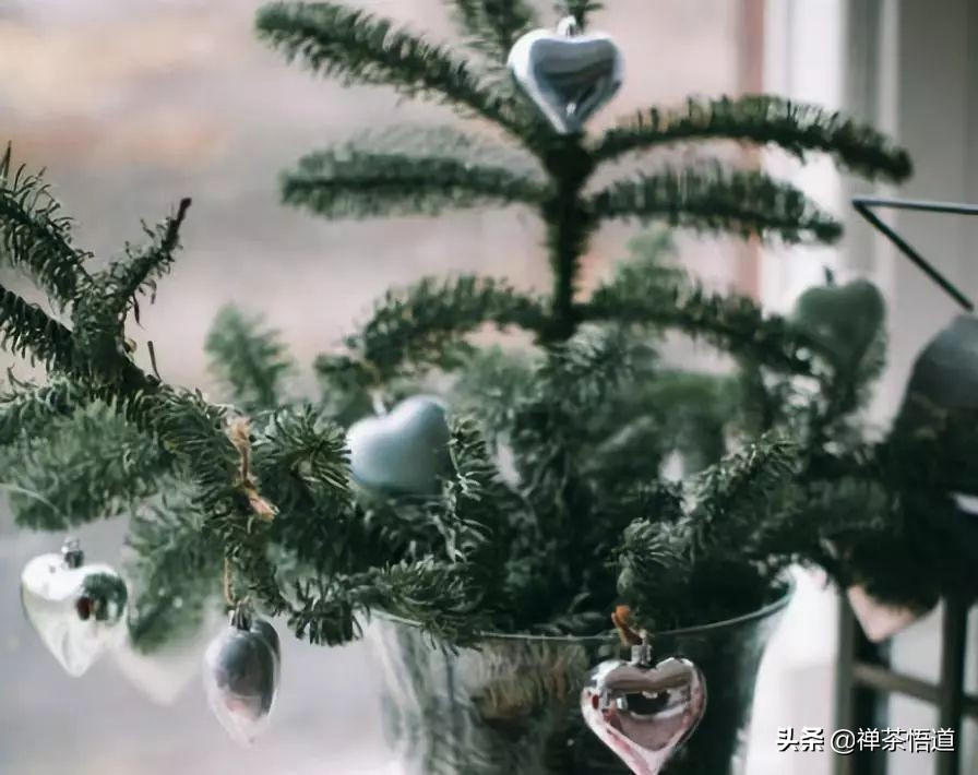 夫妻三观不合指哪三观,三观不合一般都是哪三观