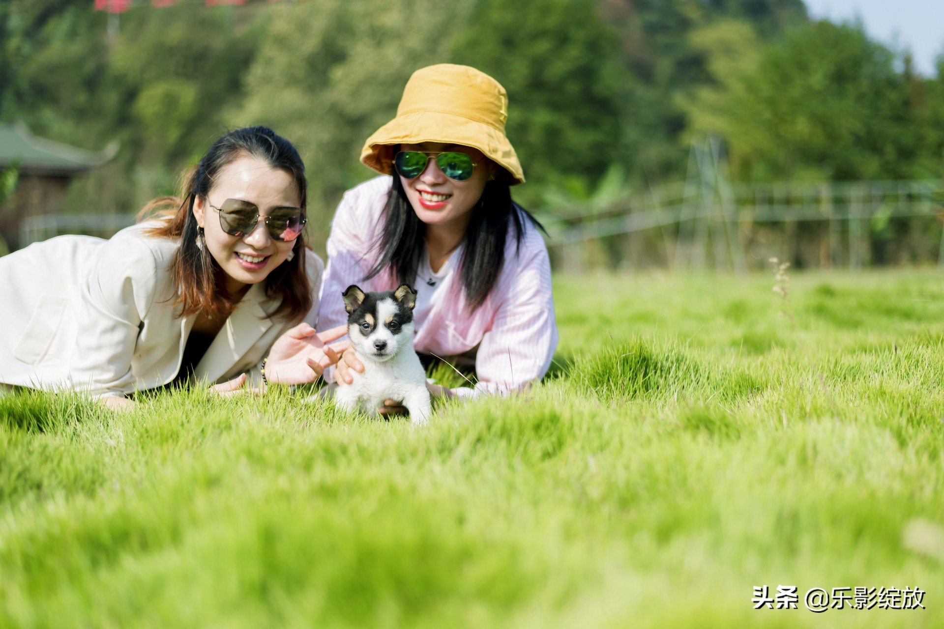 带小花狗去野外生存,带着小花去兜风