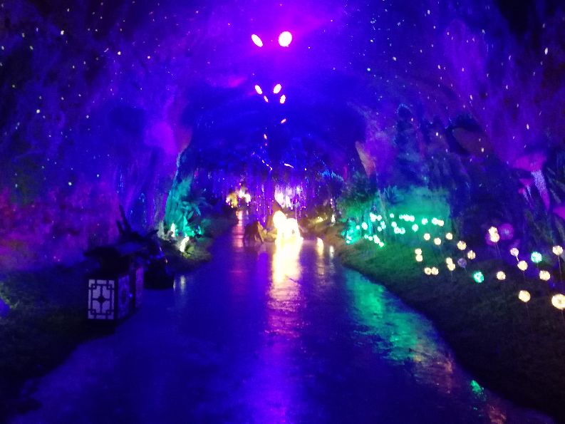 洛阳栾川竹海野生动物园值得去吗,洛阳栾川竹海野生动物园都有什么