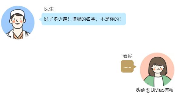 每只猫的名字都能叫出来,一只小公猫的名字