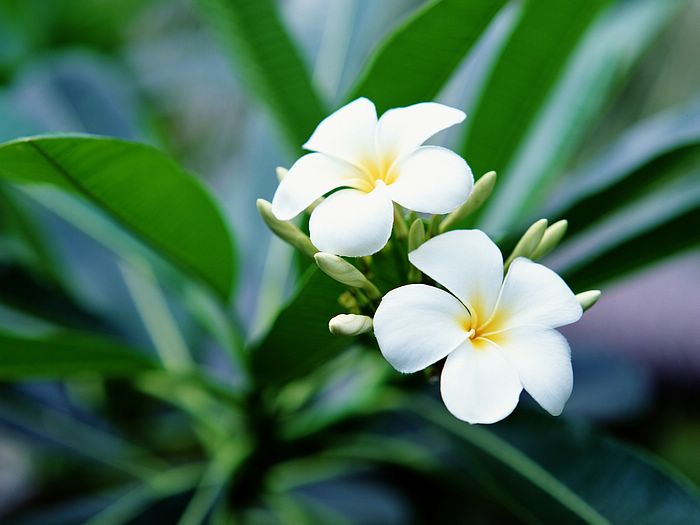 随遇而安不悲不喜,随遇而安一切皆好