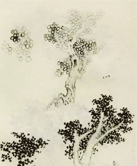 画树教程,怎么画树好看又超级简单