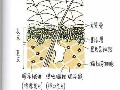 护肤科普是真的吗,护肤科普揭秘