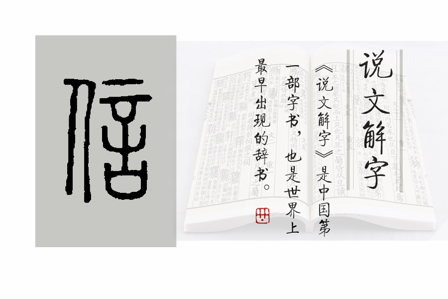 说文解字397课视频,说文解字第297课
