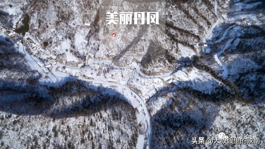 丹凤第一小学老师,丹凤县第一小学老师视频