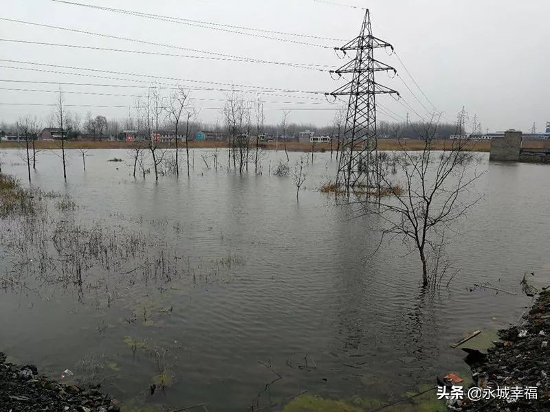 采煤塌陷地变身湿地公园,采煤沉陷区变身绿色公园