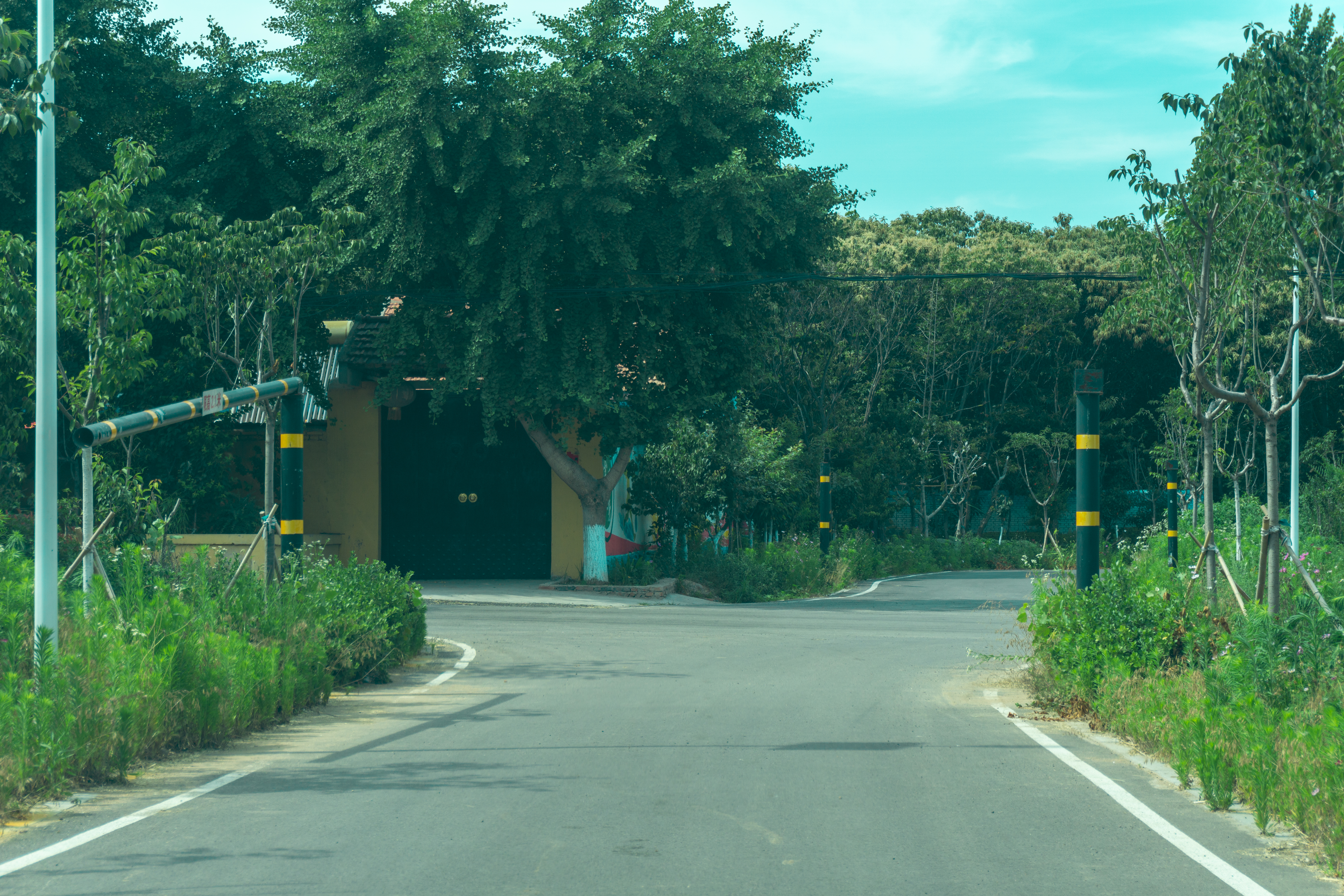 诸城人文地理,山东诸城有什么名胜